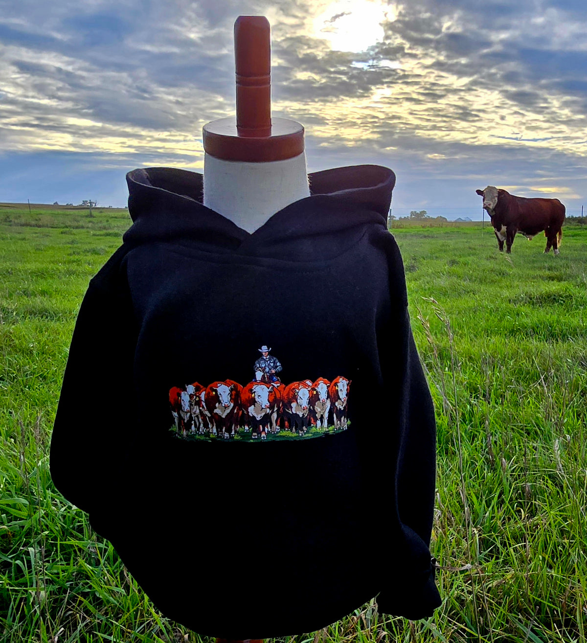 Hereford Herd
