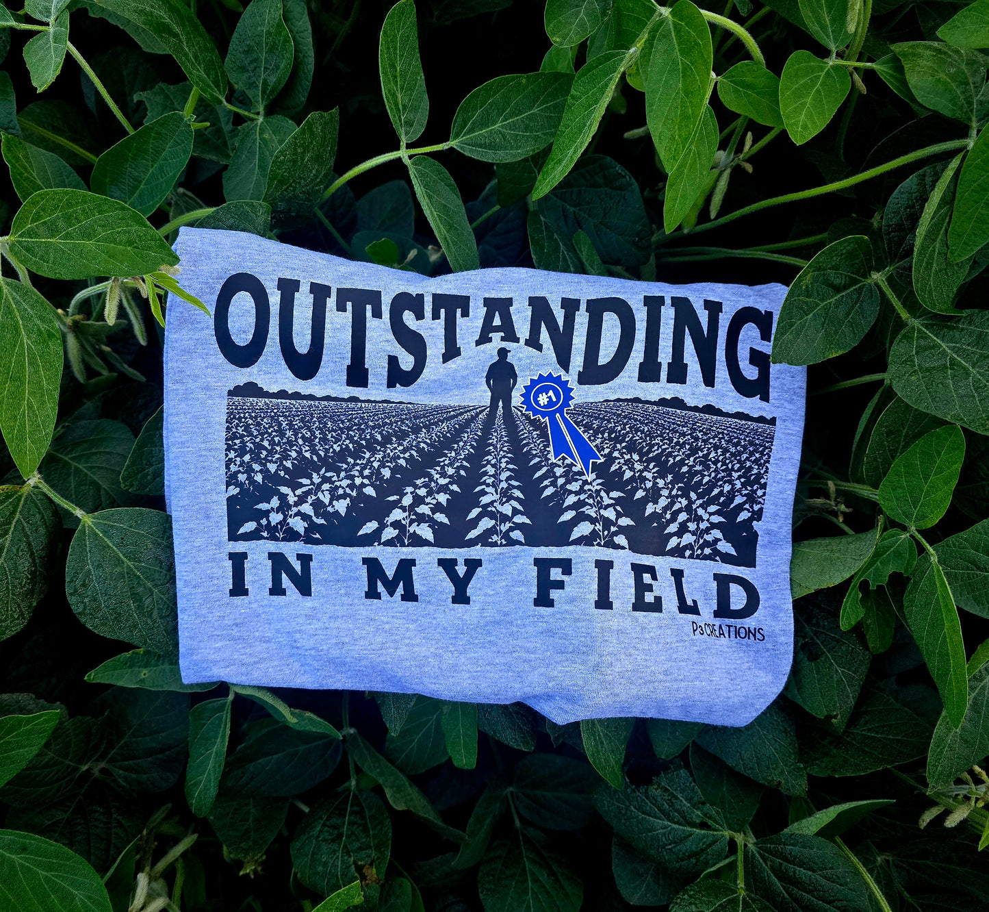 Outstanding In My Field
