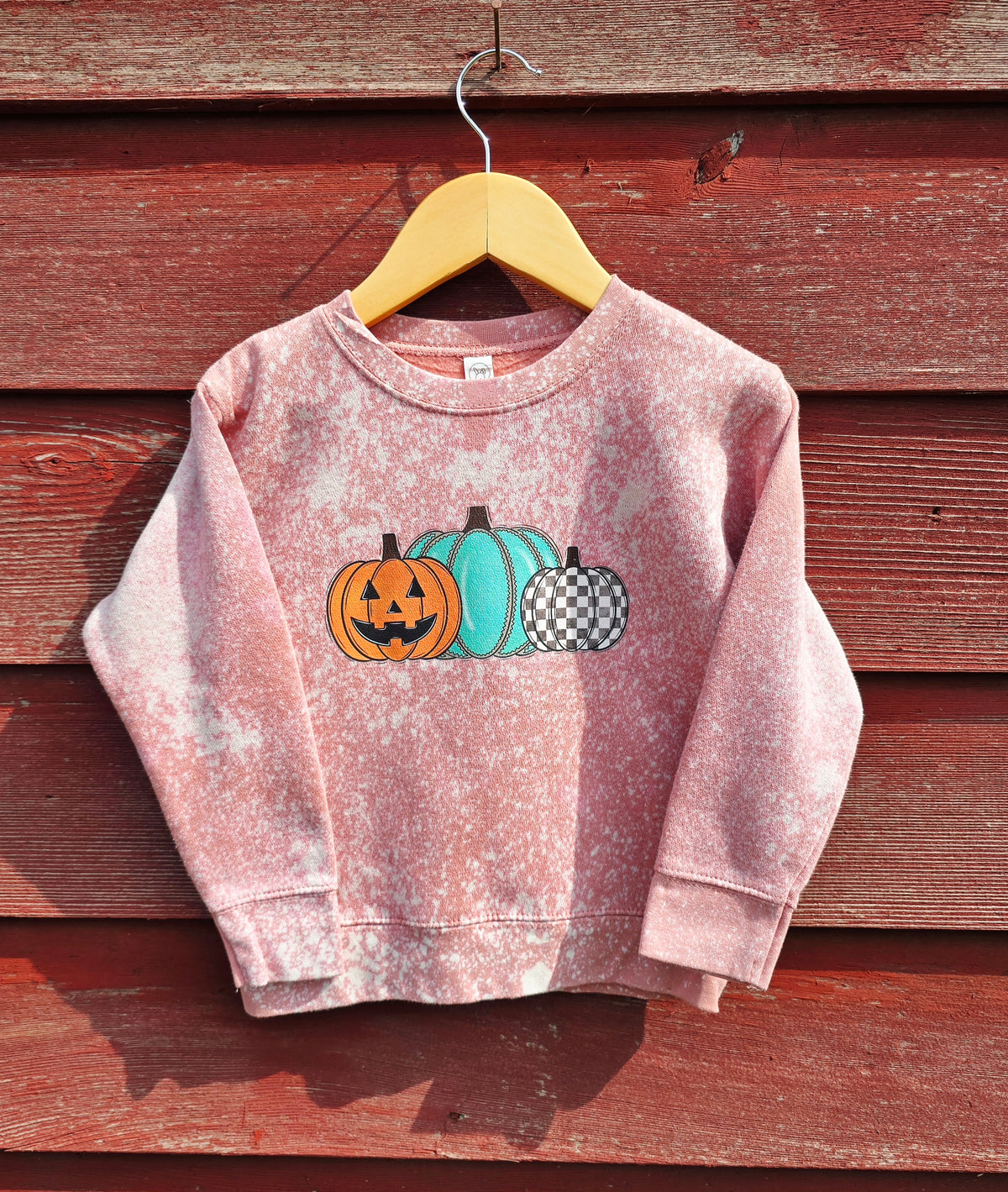 Bleached Western Pumpkins